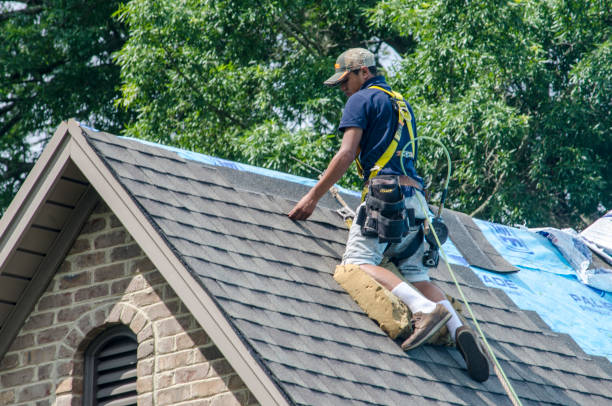 Best Roof Maintenance Services  in Riverdale, GA